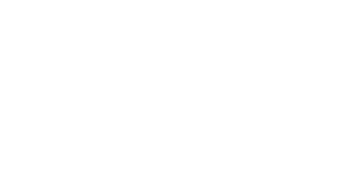 DLC ELECTRONICS